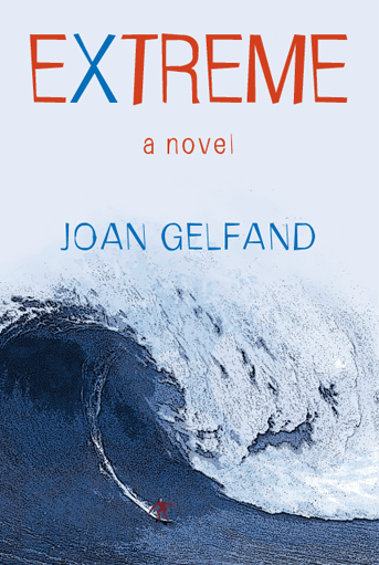 extreme a novel